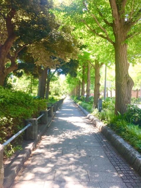 8月31日（金）今日の一コマ♪