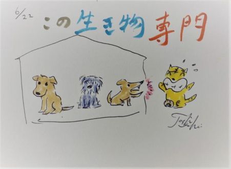 この生き物専門！