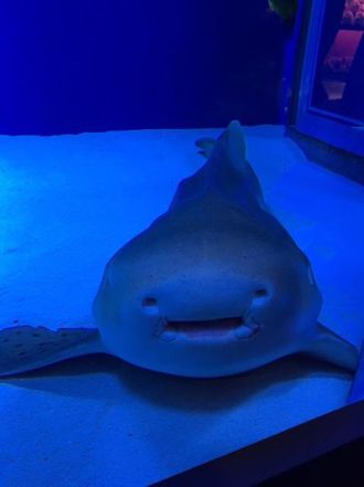 9月15日（木）今日の1コマ