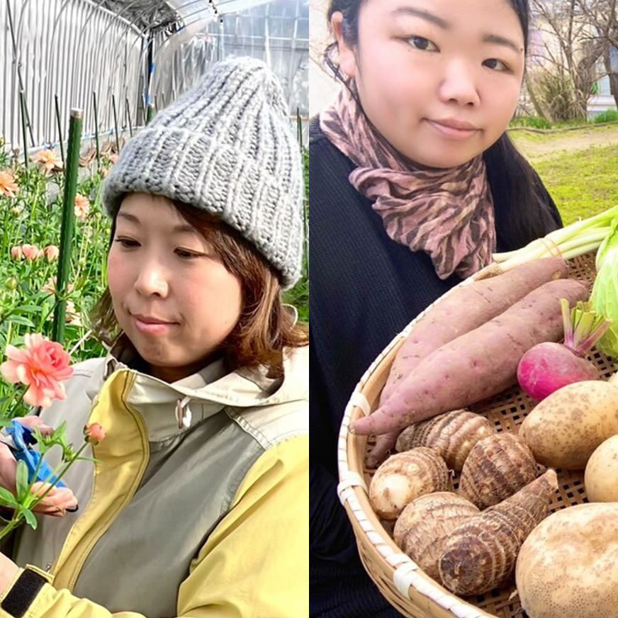 ハートフルデイズvol.109