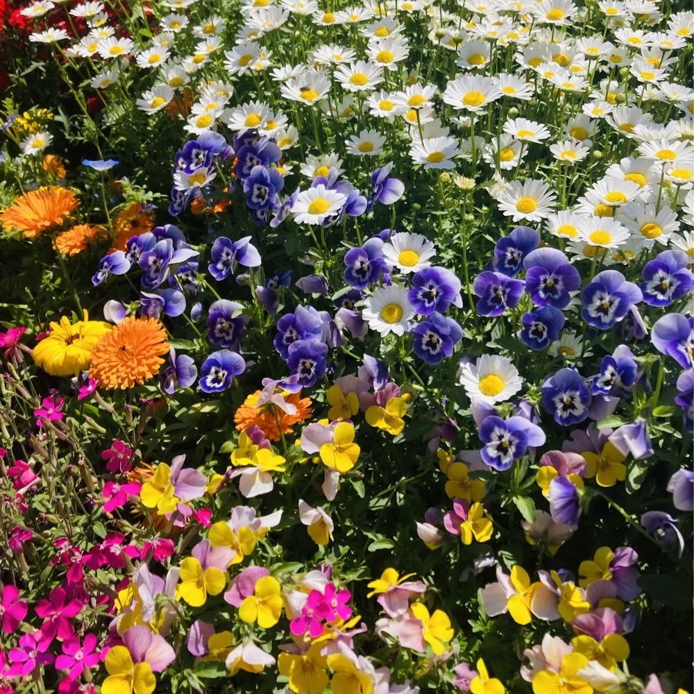 ＃115 花