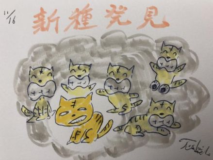 発見しちゃったんですよ。