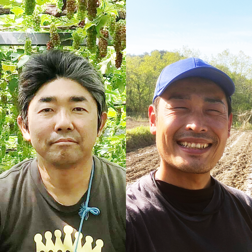 ハートフルデイズ vol.73