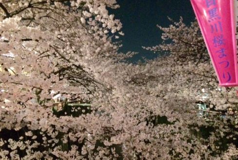 3月31日（火）今日の1コマ