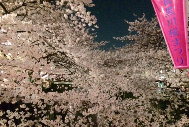 3月31日（火）今日の1コマ