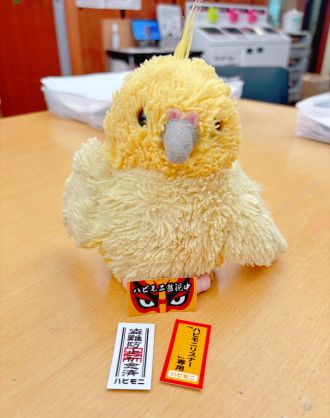 代打の神様・舘谷春香さん！