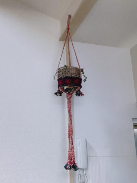 6月29日（月）　今日の1コマ