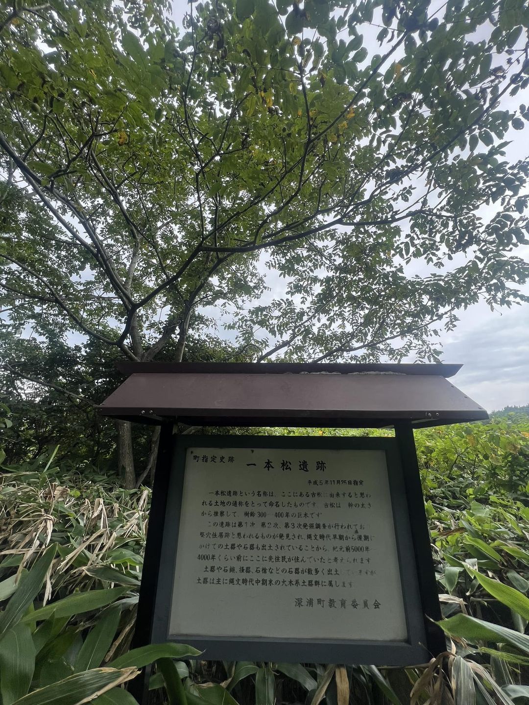 2024年8月27日分　近藤金吾のPODCAST その19～噛みチンのその先へ～