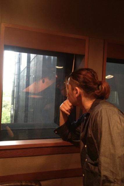 2018年5月28日(月)放送終了！