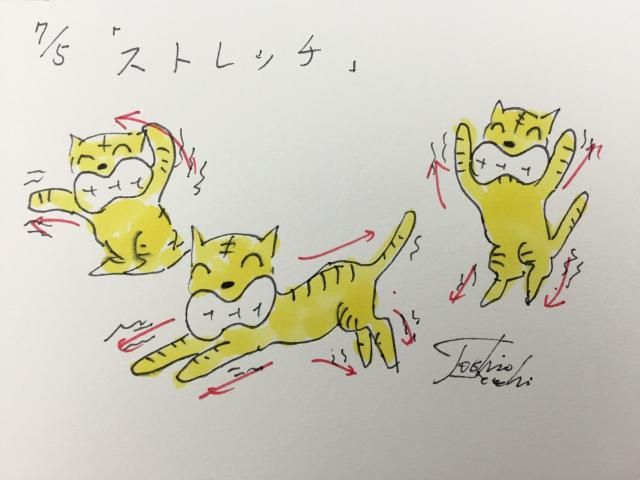 7月5日（火）のデリフラは…