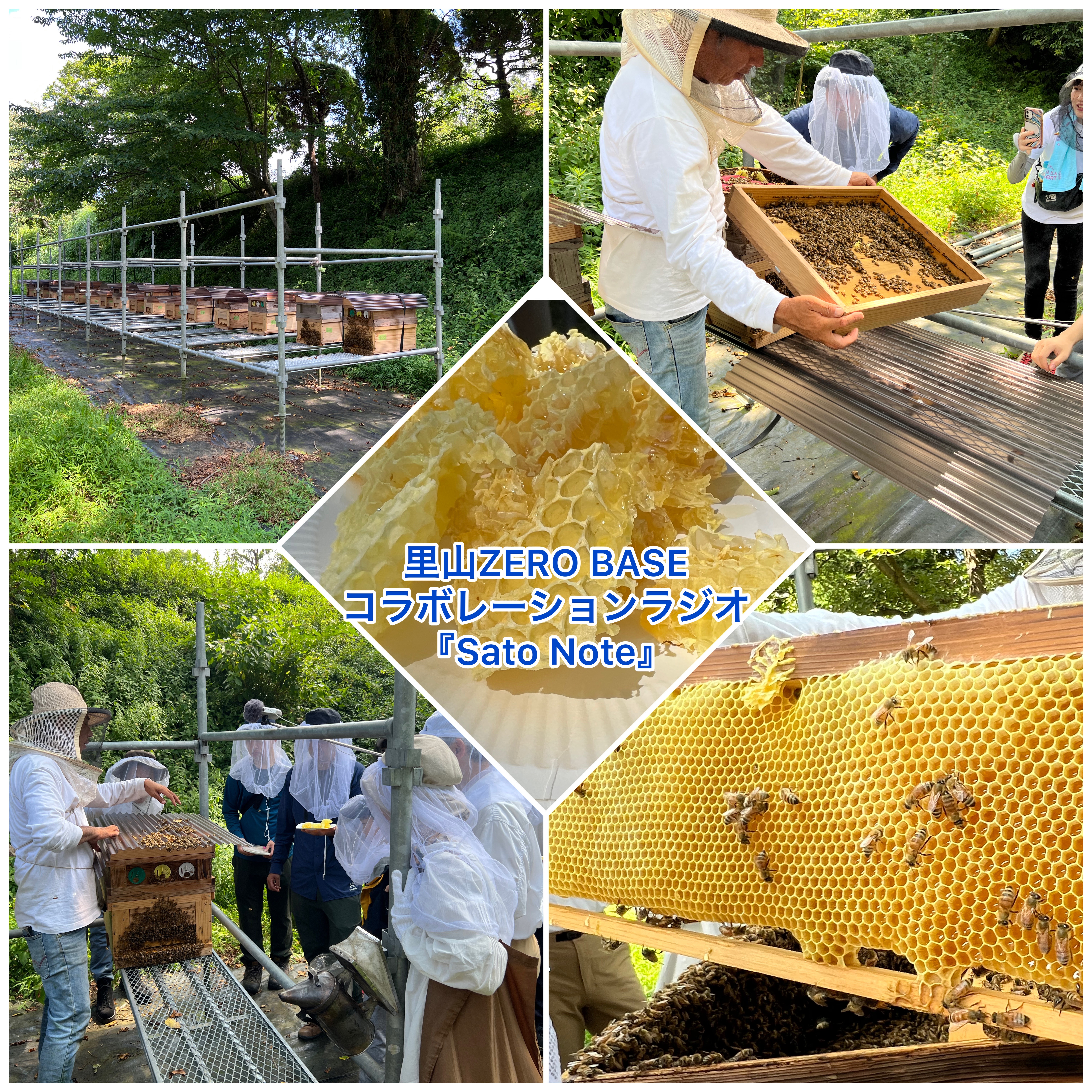 【＃２０　里山ZERO BASE　ワークショップの模様③　はちみつから学ぶ里山づくり！】～Sato Note