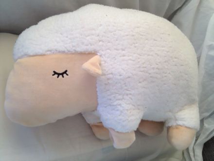 1月21日（水）今日の1コマ