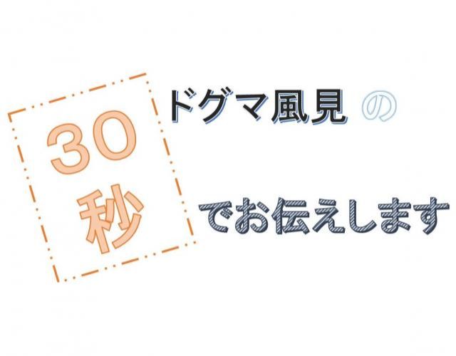 【JFN PARK限定企画】『ドグマ風見の30秒でお伝えします。』