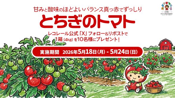 フォロー＆リポストしてくれた方の中から抽選で10名様に、栃木県産のおいしいトマト🍅 をプレゼント！