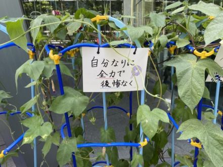 アサガオからのメッセージ～大会2日目～