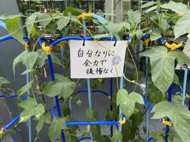 アサガオからのメッセージ～大会2日目～