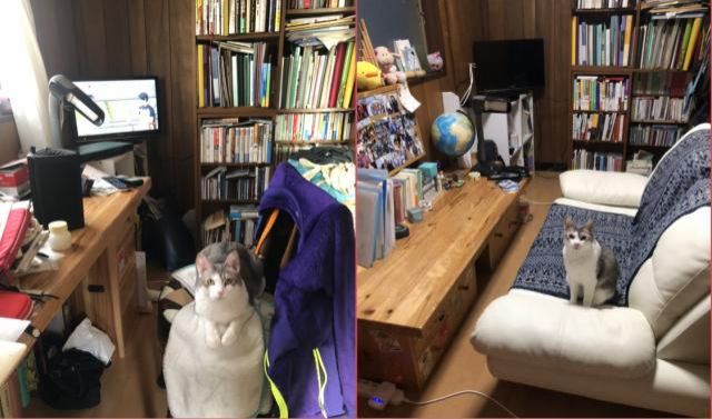 12月7日（月）　今日の1コマ