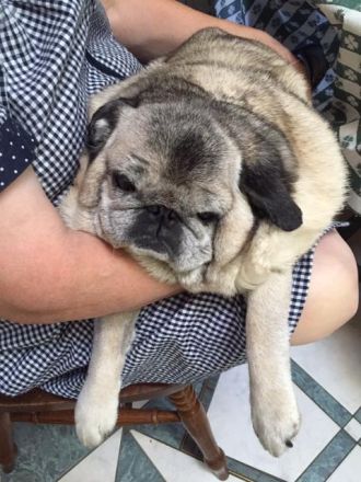 10月3日（月）担当：テット・ワダ