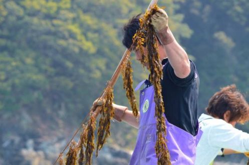 12/4週のゲストは、三重県鳥羽市の養殖漁業者、浅尾大輔さん☆
