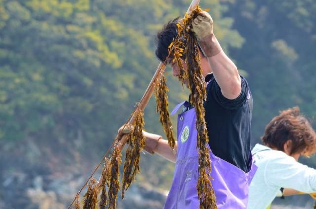 12/4週のゲストは、三重県鳥羽市の養殖漁業者、浅尾大輔さん☆