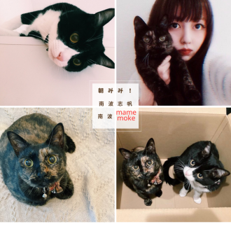 テーマは「犬も猫も偉大！！！」　　