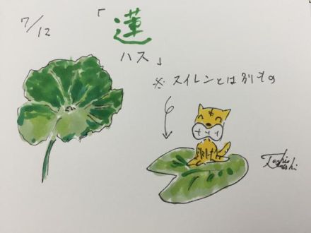 7月12日（火）のデリフラは…
