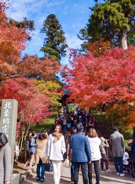 11月29日（水）今日の一コマ