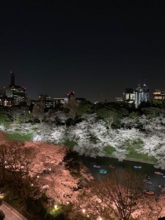 藤井悠のいただき！夜桜！