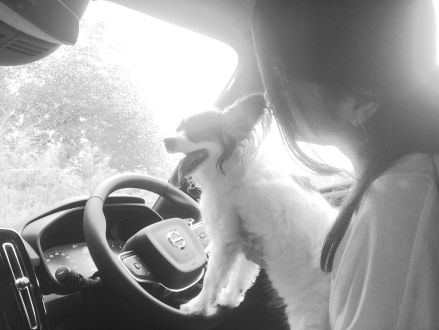 TOKYOITE Vol.08 Guest:葛谷葉子(シンガーソングライター)