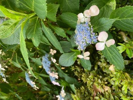 6月3日（水）今日の一コマ