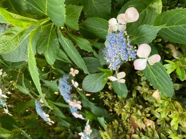 6月3日（水）今日の一コマ