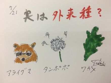 実はこいつも外来種