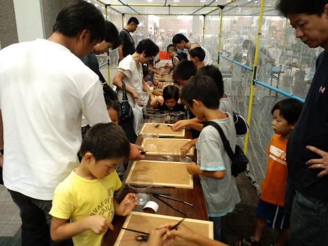 街フェス・オン・サンデー