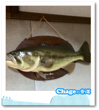 Chageの音道　SONG LIST vol.261