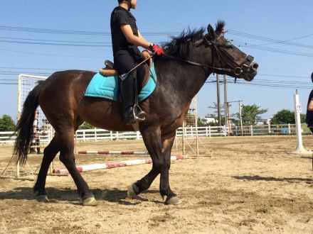 街フェス・オン・サンデー