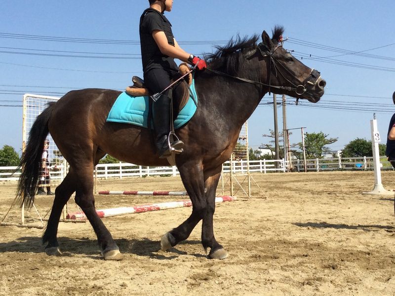 街フェス・オン・サンデー