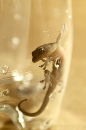 9月23日（水）担当：村上祐資