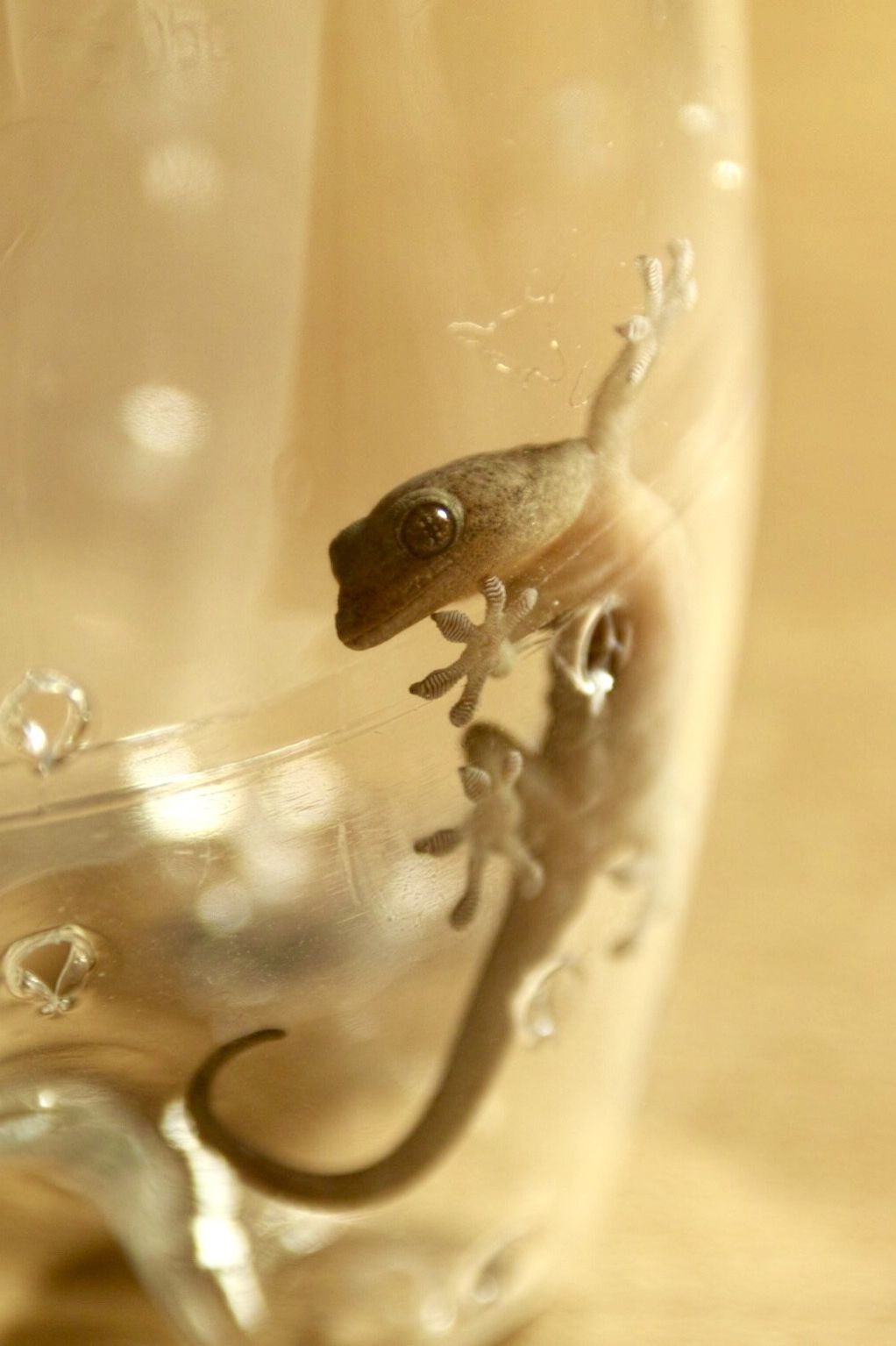 9月23日（水）担当：村上祐資