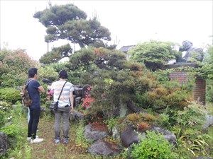 熊本応援企画 阿蘇の自然を感じる旅