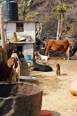 2月15日（水）担当：村上祐資