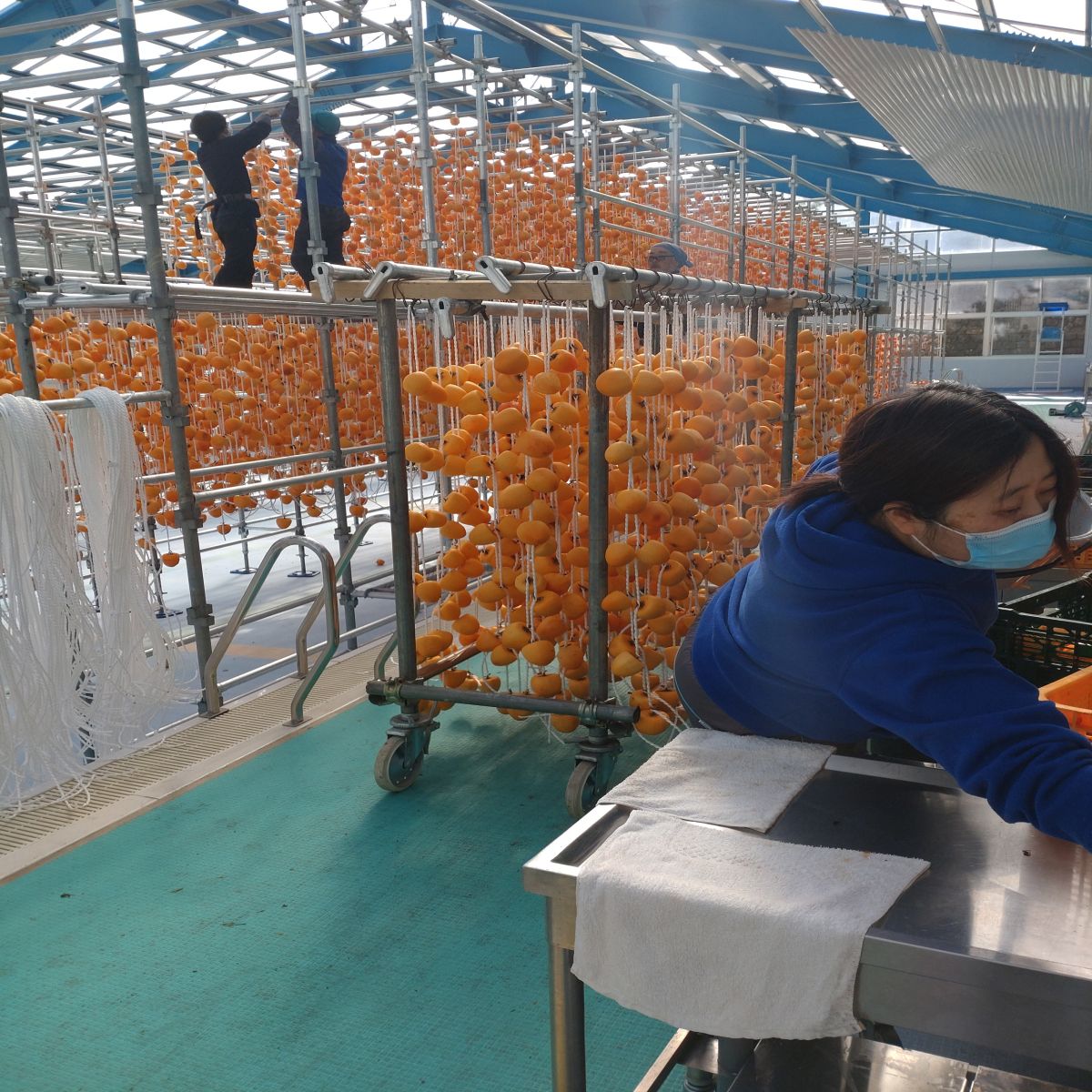 第８１回：番外編：山梨の音②三富地区