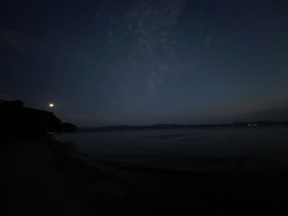 Chit Chat #88 (2024.08.23)