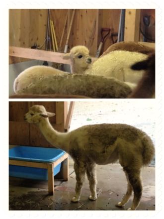 1月22日（木）今日の1コマ