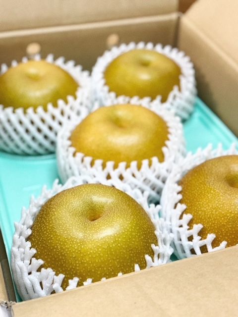 藤井悠のいただき！なっしー！！