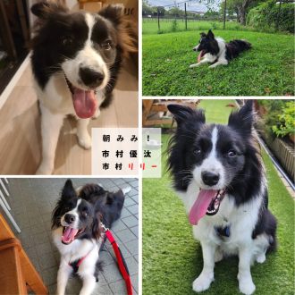 俳優 市村優汰さんと朝みみ！トーク