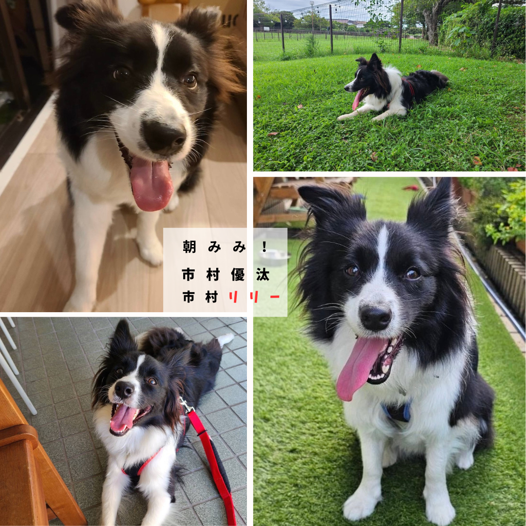 俳優 市村優汰さんと朝みみ！トーク