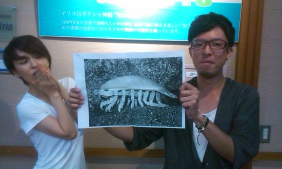 勢いモーニン♪♪火曜日です♪♪