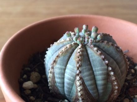 2015年3月9日（月）今日の1コマ