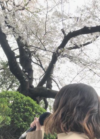 CITY GIRLS MUSIC #80《お弁当を持ってお花見へ！》