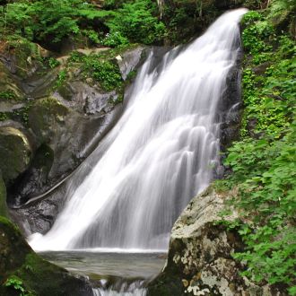 全国自然100選地、岐阜県名水50選地に選定された県立自然公園の渓谷沿いにある大小無数の滝 【PEUGEOT 308】（岐阜県高山市国府町・宇津江四十八滝）